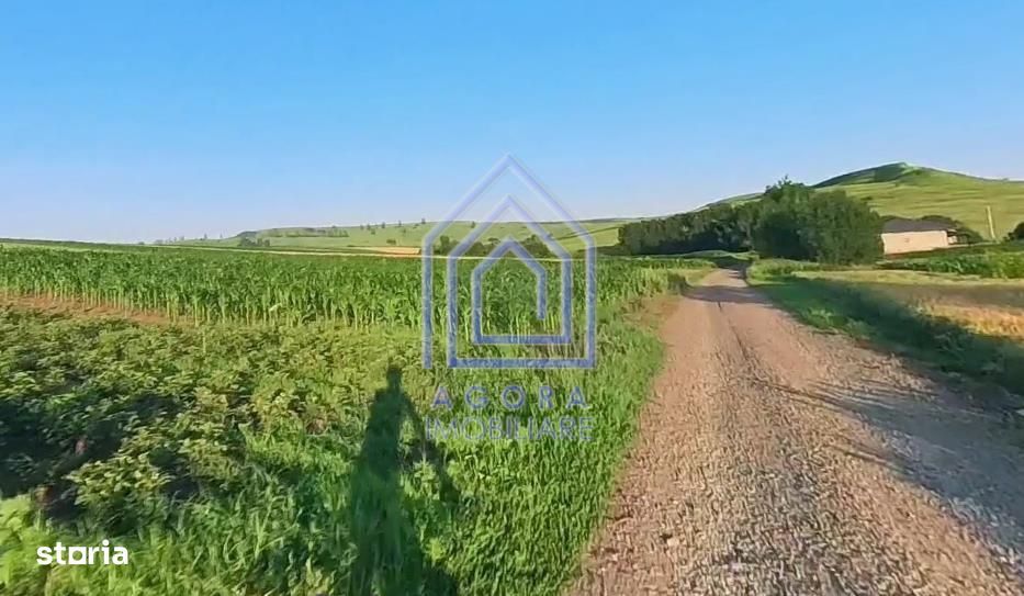Teren intravilan Moara Carp - zona Ponoare