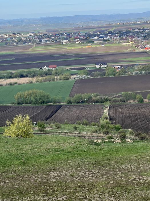 Teren extravilan 75 ari Ipotesti -Moara