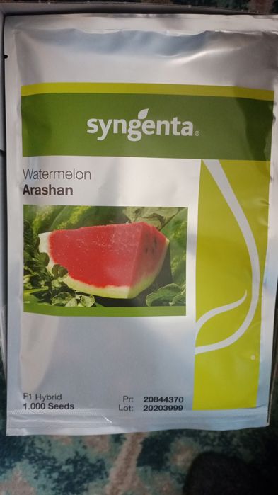 Продаем семена арбузов дыни
