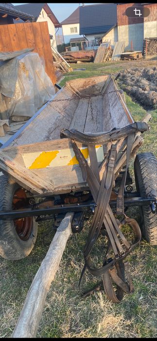 Faiton și ham de piele