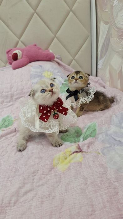 Шикарные малыши от правильной вязки