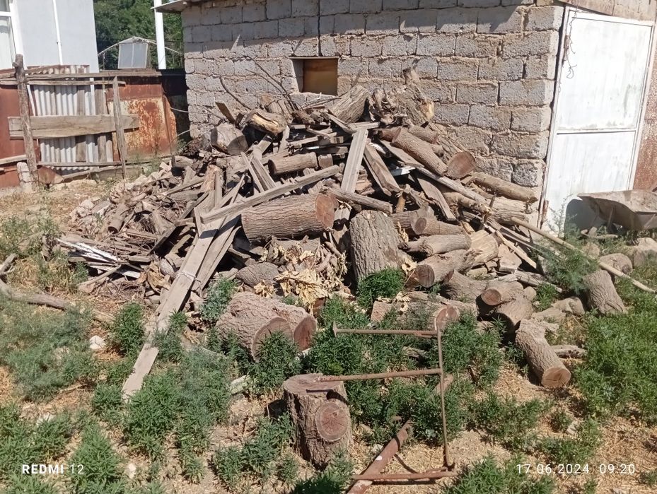 Отын сатамын тағдырға палауга