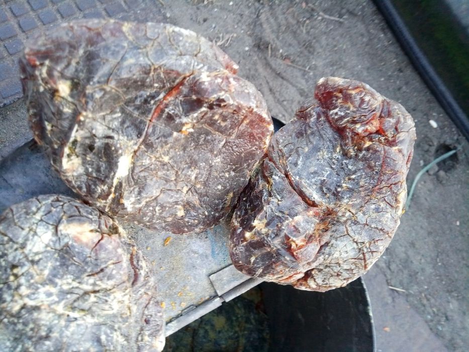 Подам канифоль пром.