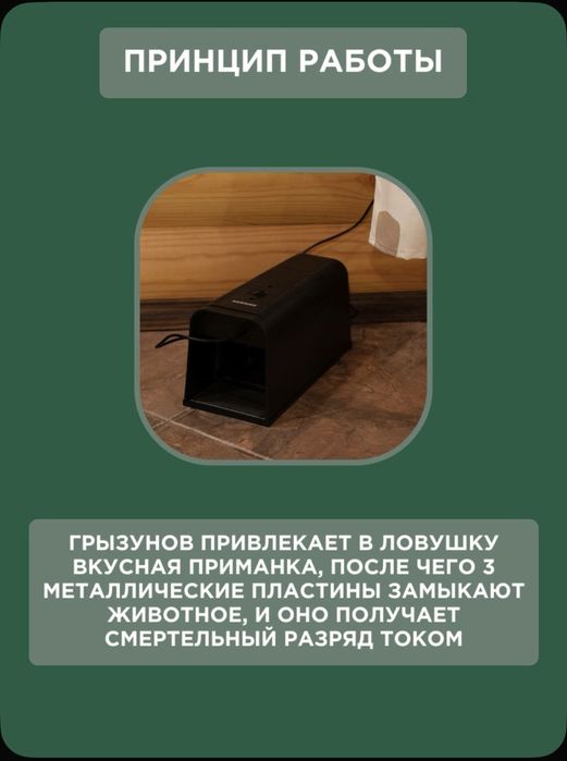 Электрическая крысаловка -мышеловка без мучений грызунов