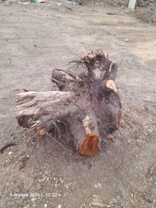 Дърва от орех за материал