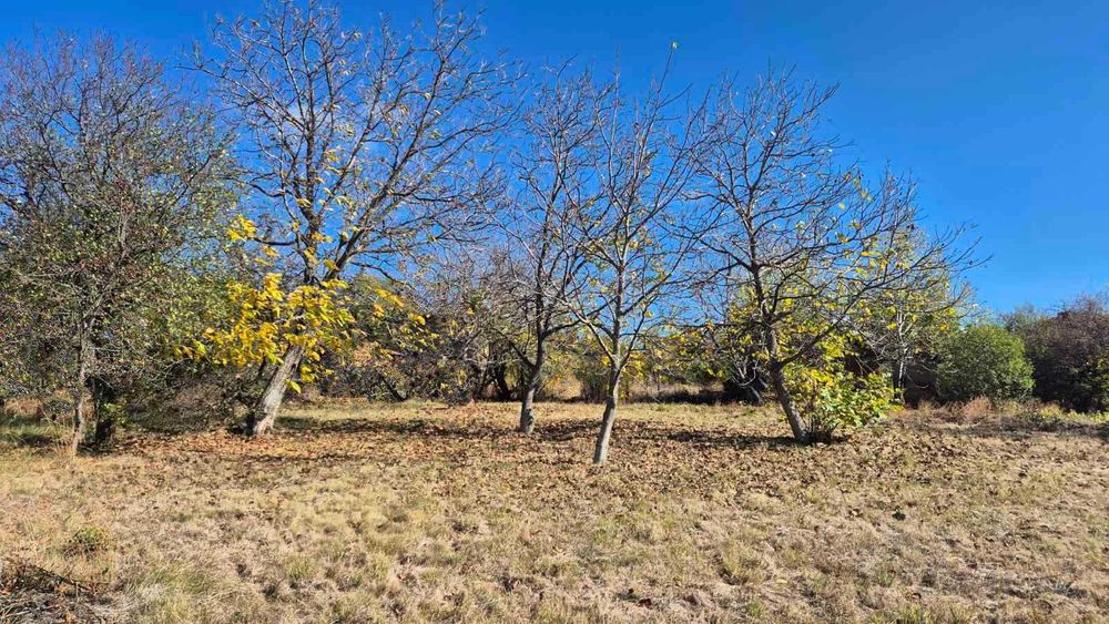 Продава се Парцел в с. Бабица, Област Перник - 1000 кв.м за 30 €/кв.м - Снимка #1