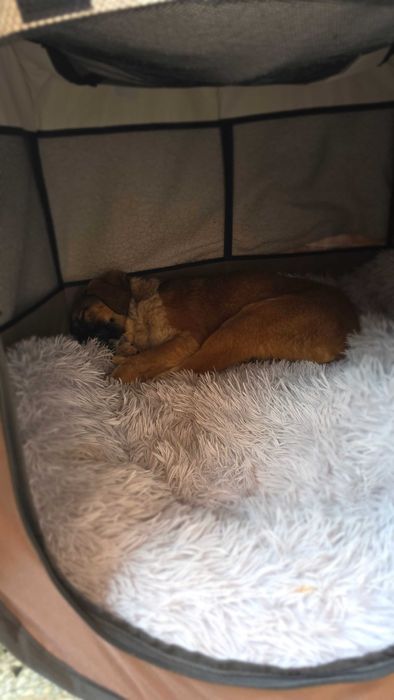 Момиче търси любов и дом