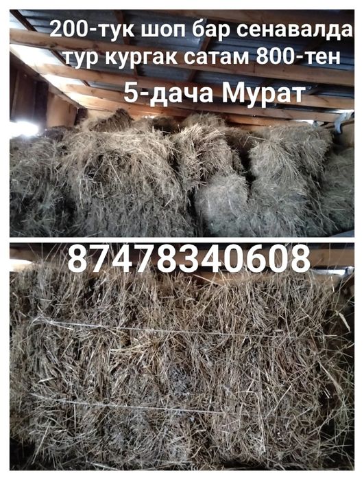 Сено тюковое для сельхоз жывотных