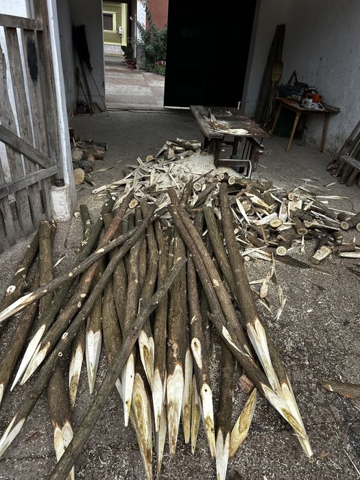 Vănd stalpi de Salcâm