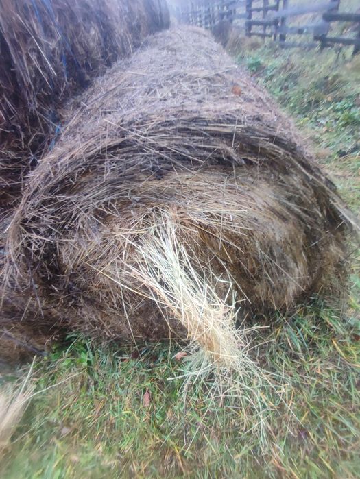 Vând baloti de fân