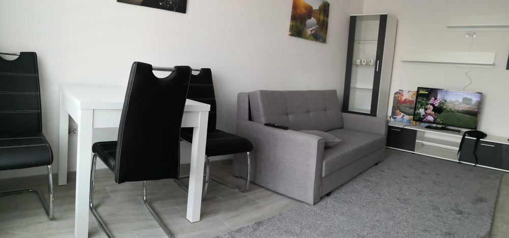 Apartament de inchiriat str Vasile Gemeniuc