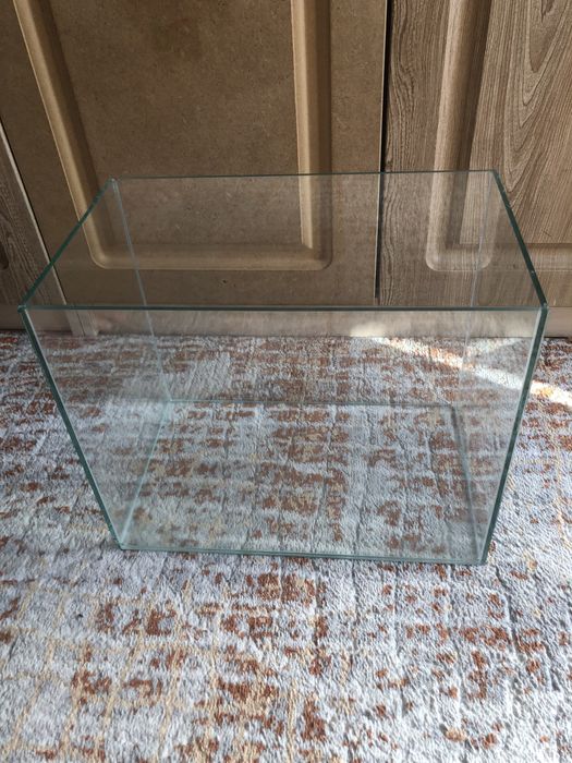 Аквариум в идеальном состоянии