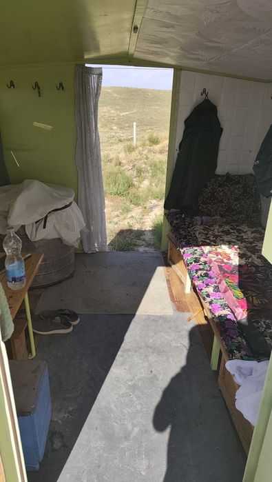 Tayyor biznes Asalari uyasi 75- 80 dona . Telyashkasi bilan