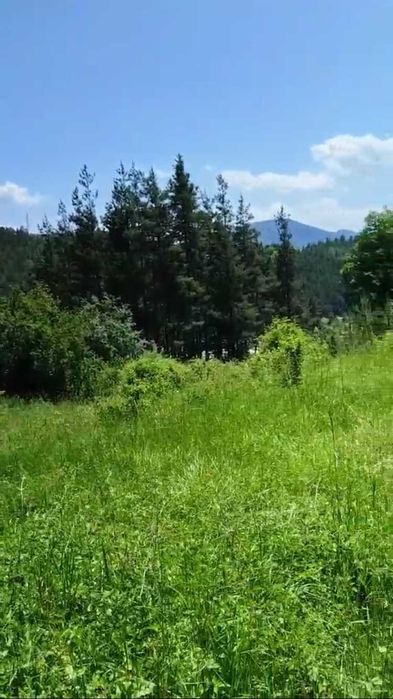 Продава се Парцел в Смолян, в.з. Смолян - 1000 кв.м за 60 €/кв.м - Снимка #2