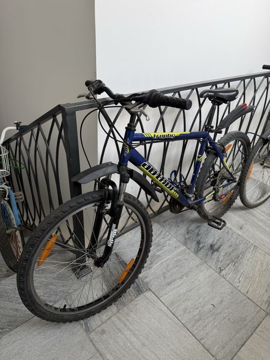 Чешский велосипед Author