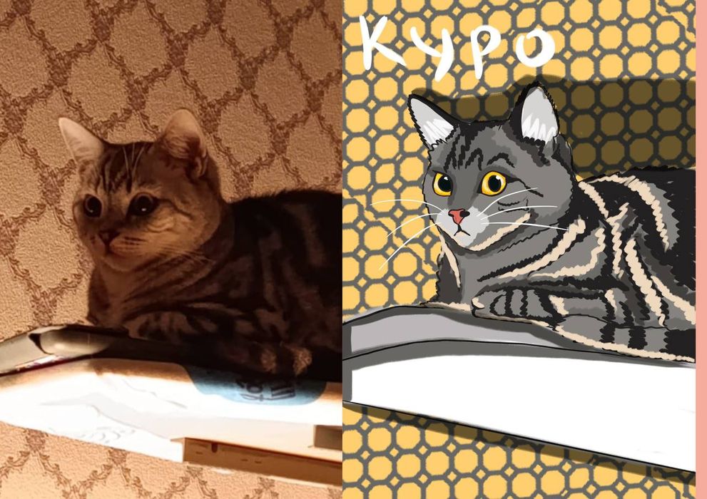 Рисунок питомца по фото