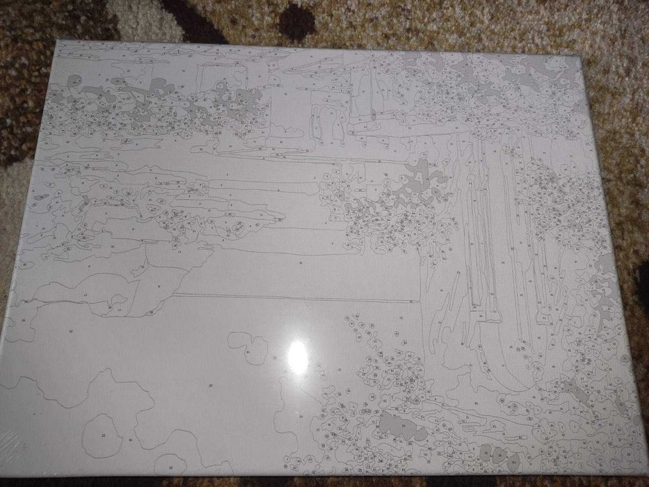 Картина за рисуване по номера 30см на 40см