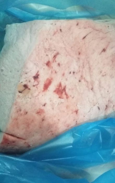 Продам верблюжий жир