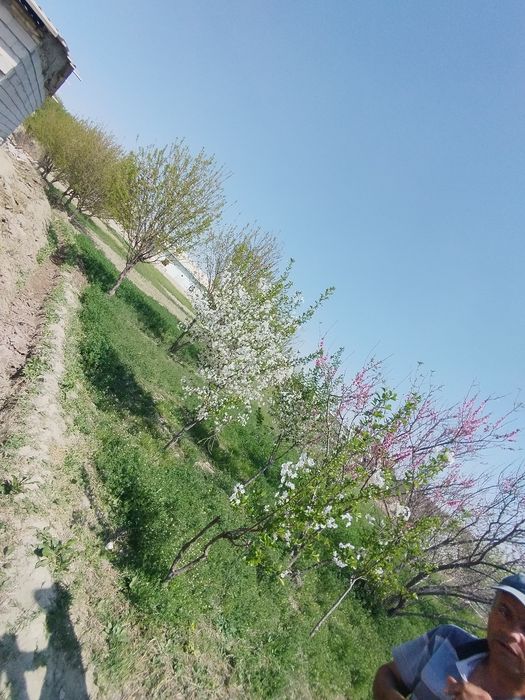 Yer uchastkasi sotiladi