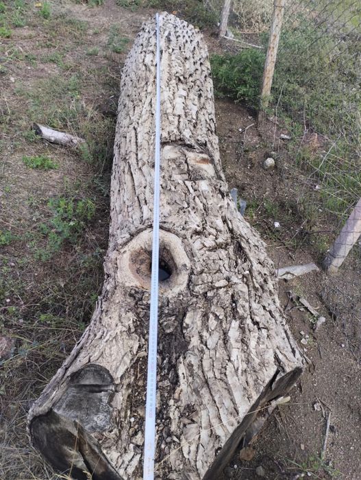 Продавам орехово дърво