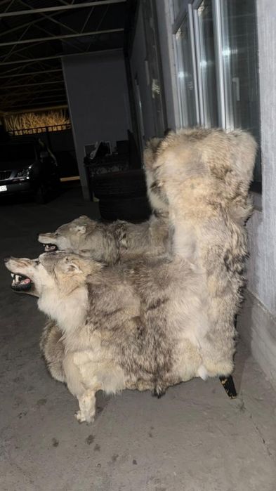 Кресло Шавката Рахмонова