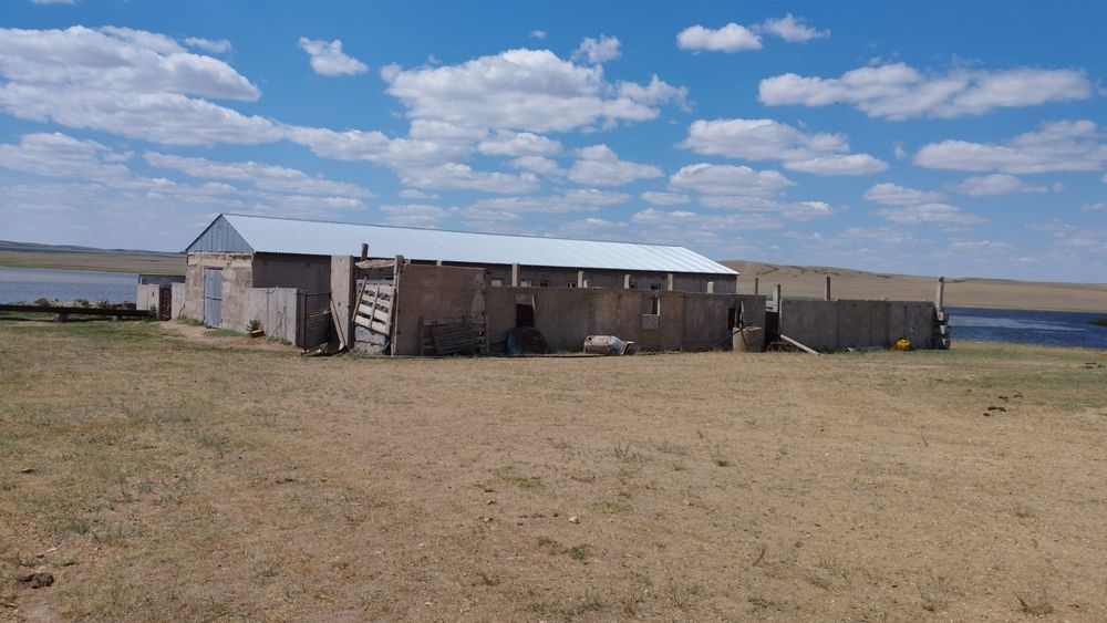 продам крестьянское хозяйство