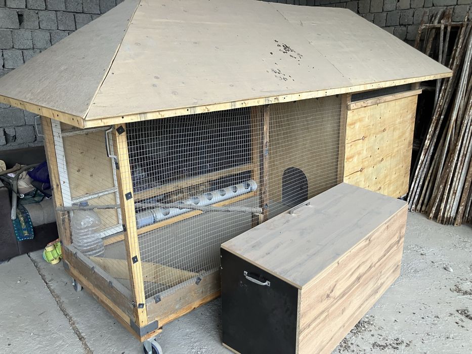 товук катак янги