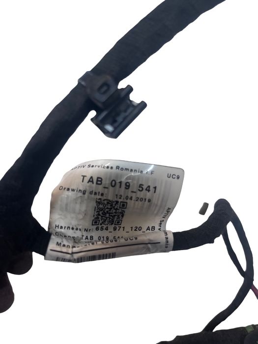Instalatie Electrica Portiera Stanga Fata Skoda Scala (Nw) [ 2019 ->