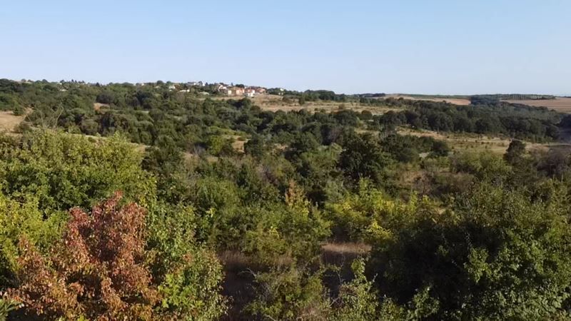 Парцел в Варна, област-с.Приселци площ 5957 цена 150000