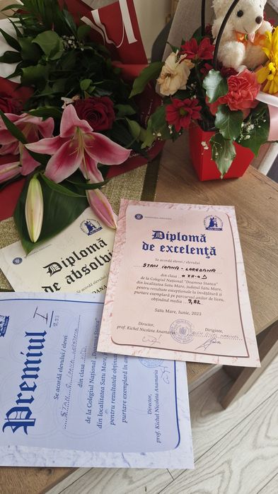 Meditații Informatică BAC