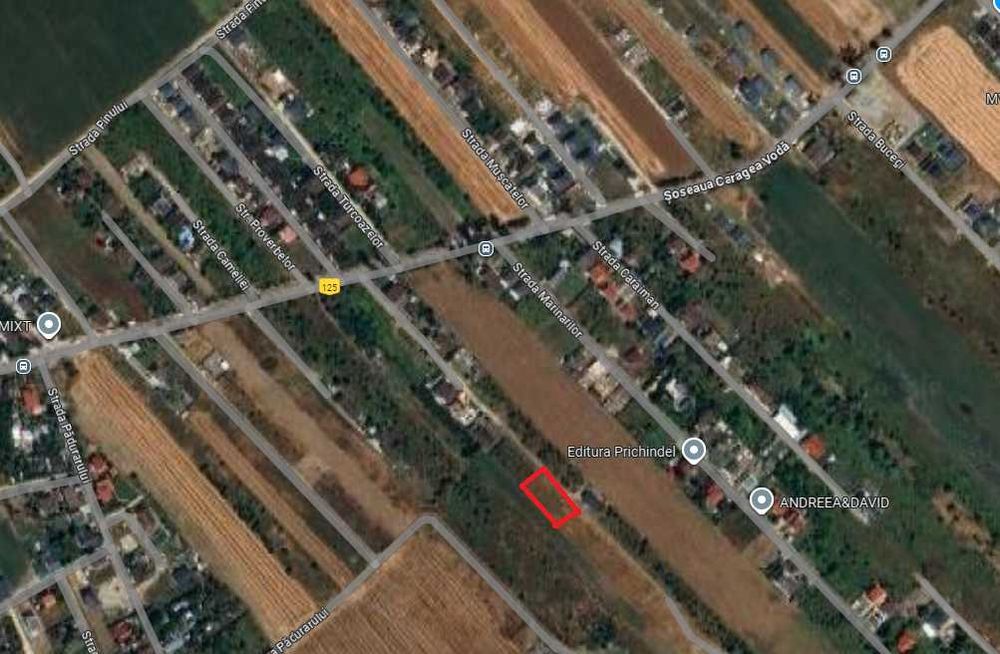 Vand teren in Teghes, Domnesti, Ilfov