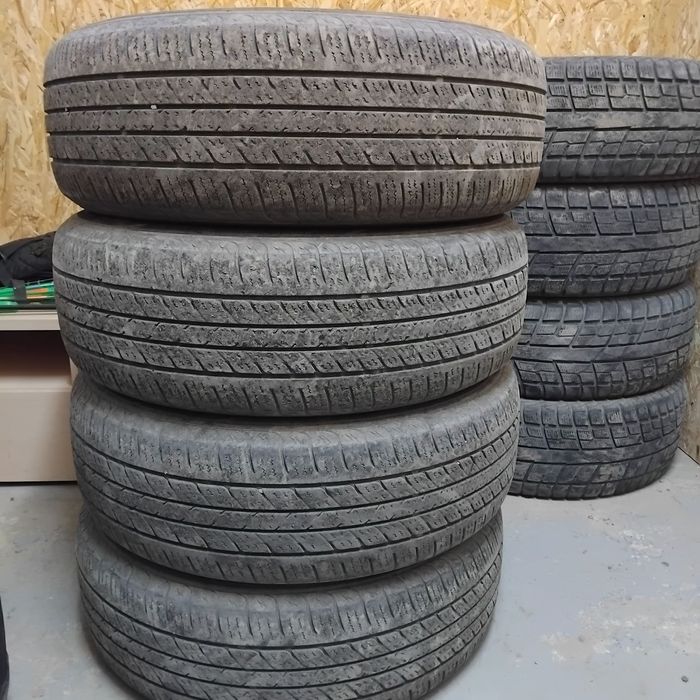 Автошина Лекковой