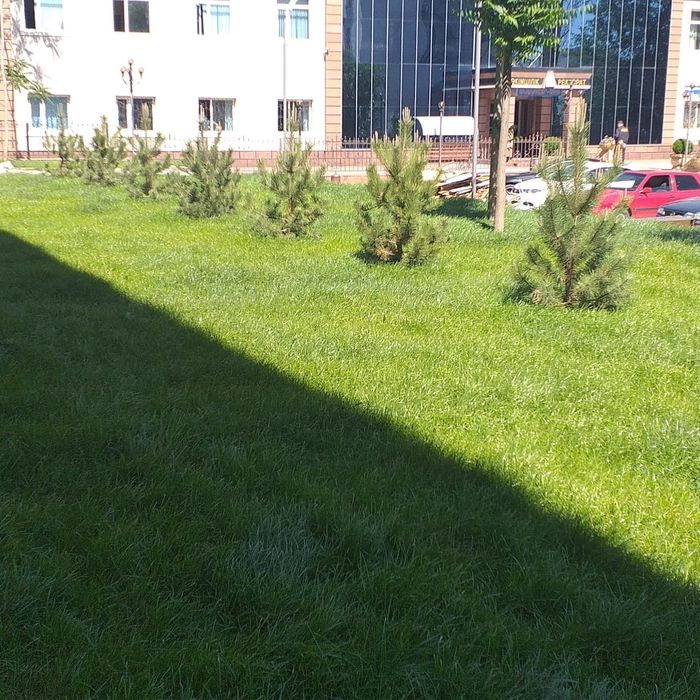 Газон Автополив жасаймыз.