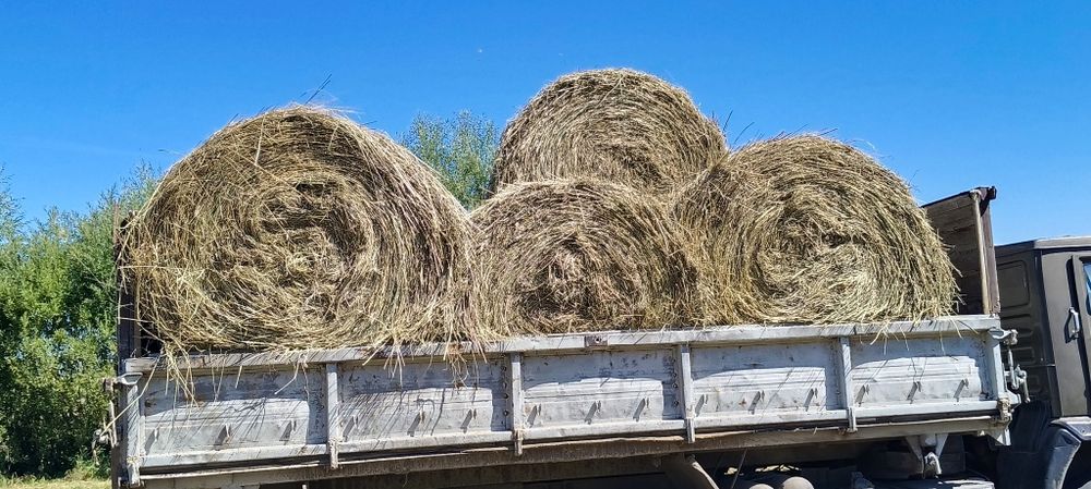 Продам сено круглые тюка разнотравье