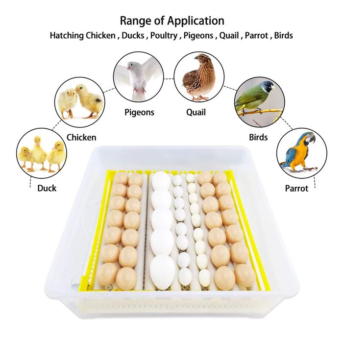 Инкубатор 56 тали
