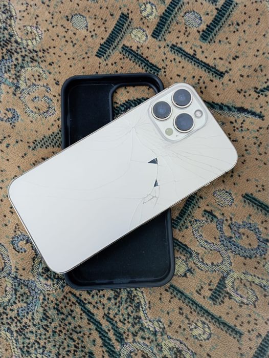 iPhone 13 Pro Max