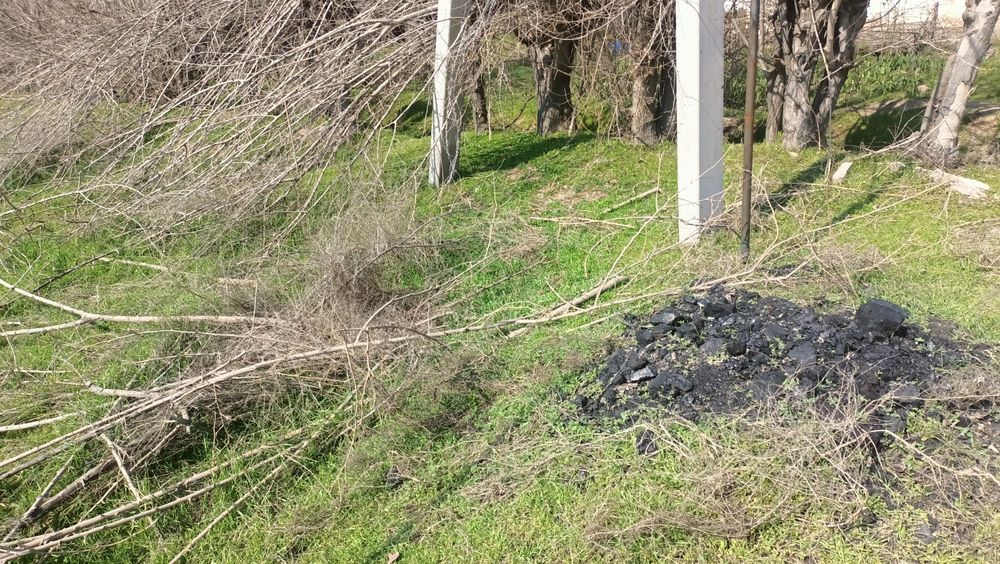 Ағаш отын тегін алып кету керек