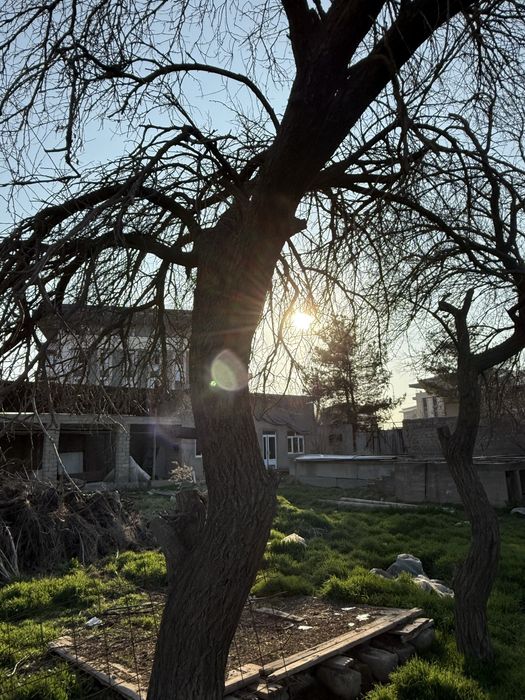 Продаётся зем участок 60 соток Янги Узбекистон, М. Улугбекский район