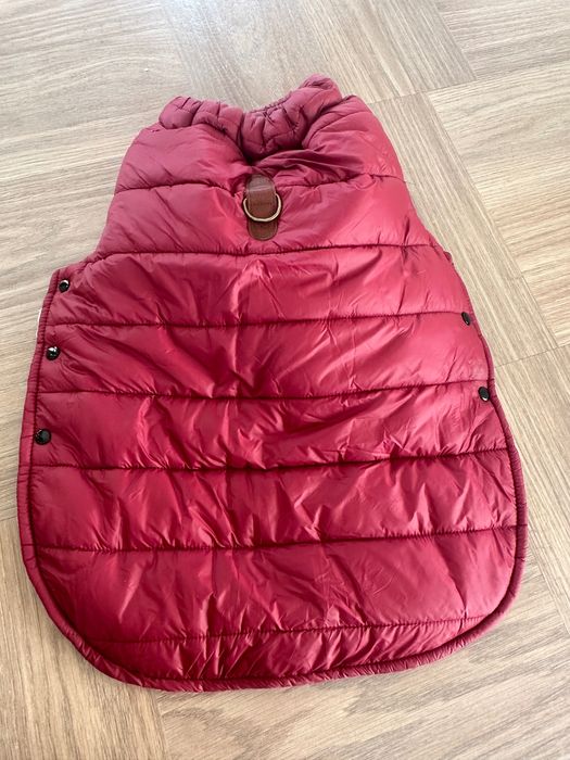 Яке за домашен любимец