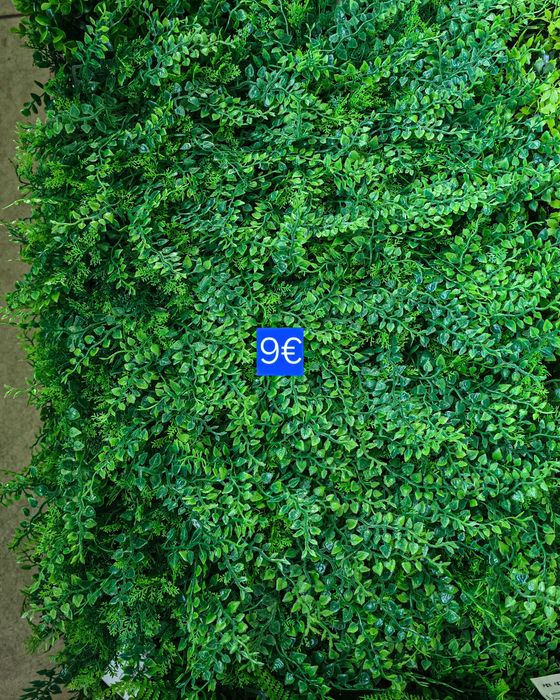 Зелени пана 60/40