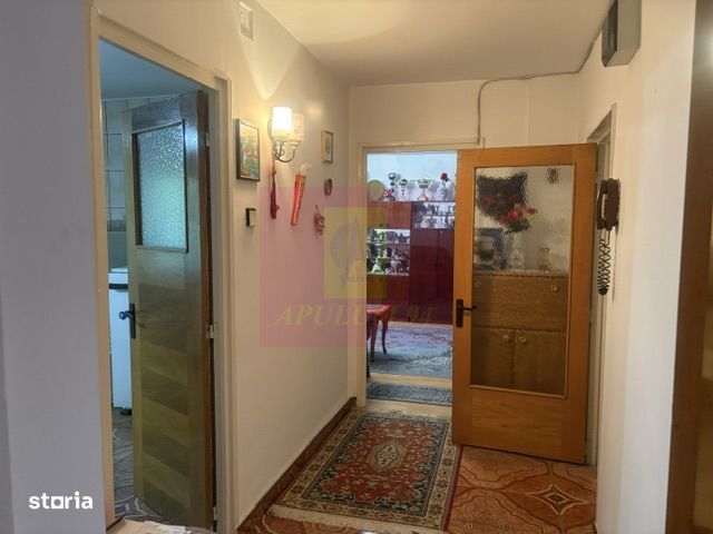 Apartament 3 camere Drumul Sarii.