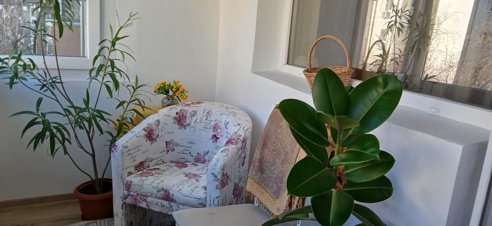 Apartament ultracentral 3 camere