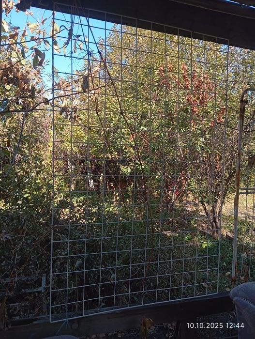 Продаю дачу ,, природа