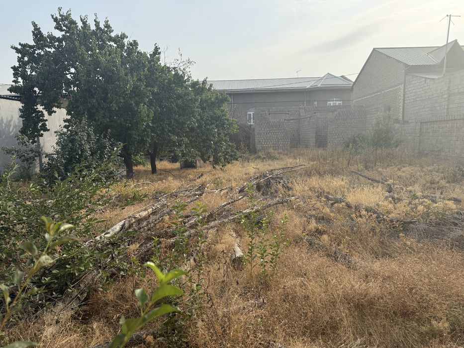 6 сутих ер сотилади срочна