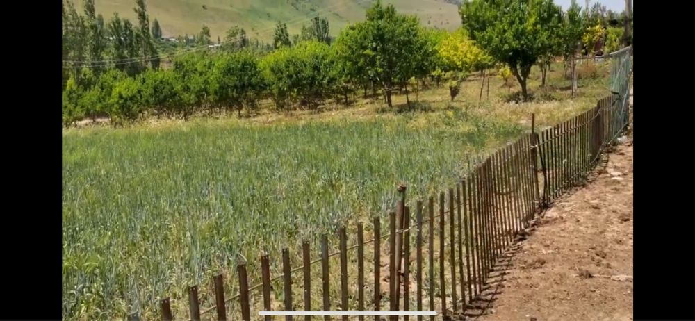 Yer sotiladi Boʻstonliq tumani, Gʻijol