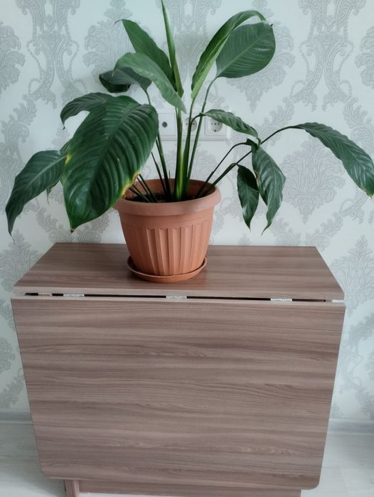 Продам стол -тумбу в Астане