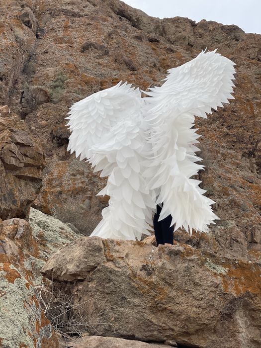 Белые крылья ангела продажа аренда