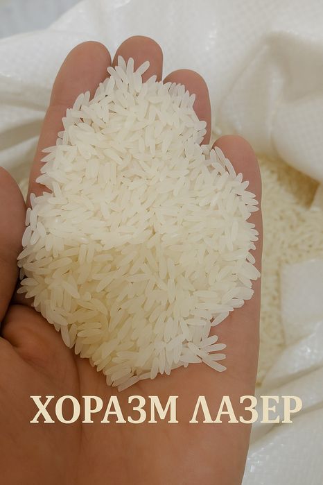 Хоразм гуруч база, оптом, перечисления, Xorazm guruch optom