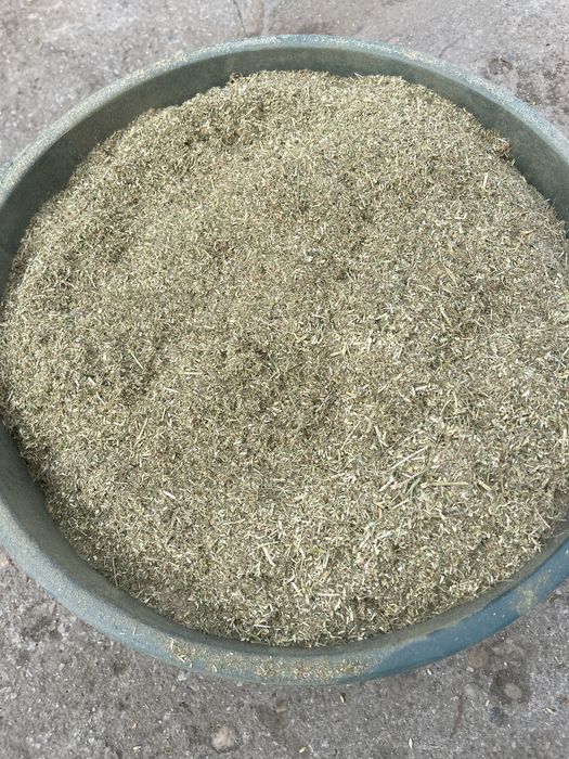 Faina de lucerna