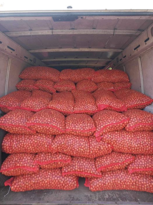 Арпаджик. Лясковски